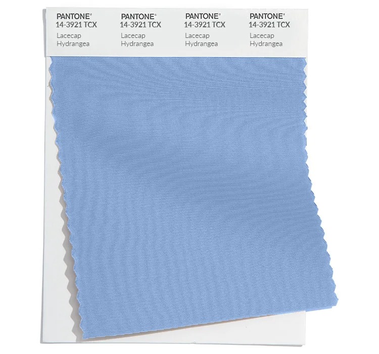 Pantone-14-3921-Lacecap-hydrange.jpg Pantone-14-3921-Lacecap-hydrange.jpg